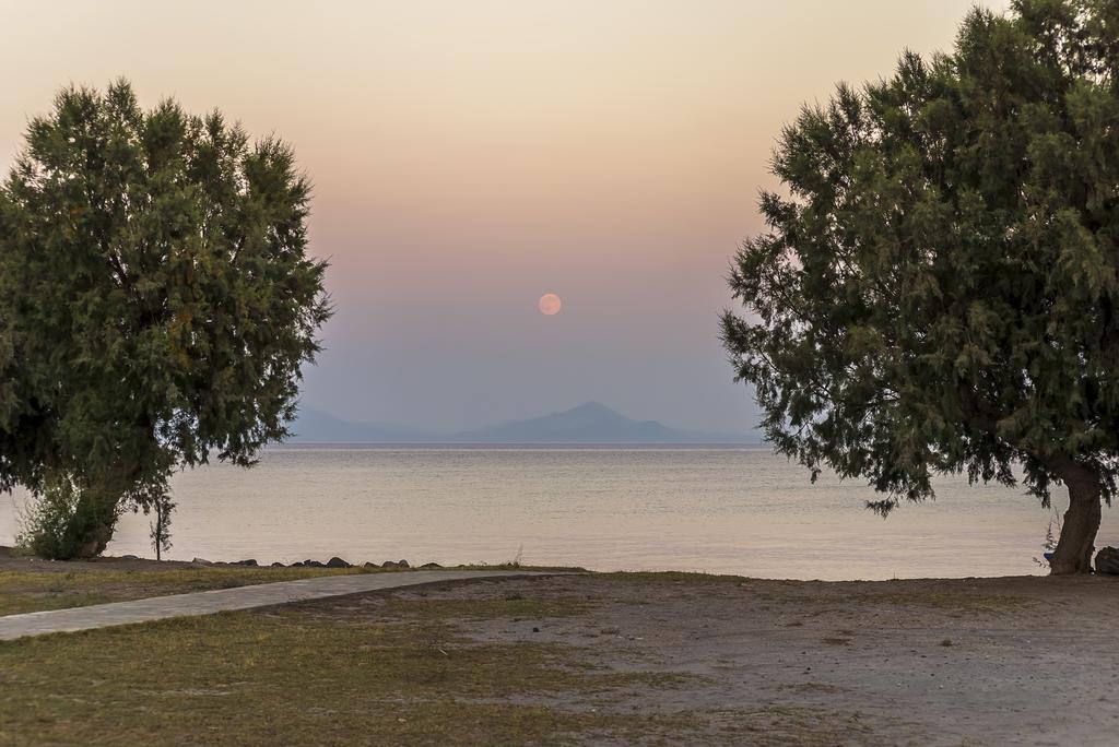 Olympia Mare Aparthotel Kardamena  Εξωτερικό φωτογραφία