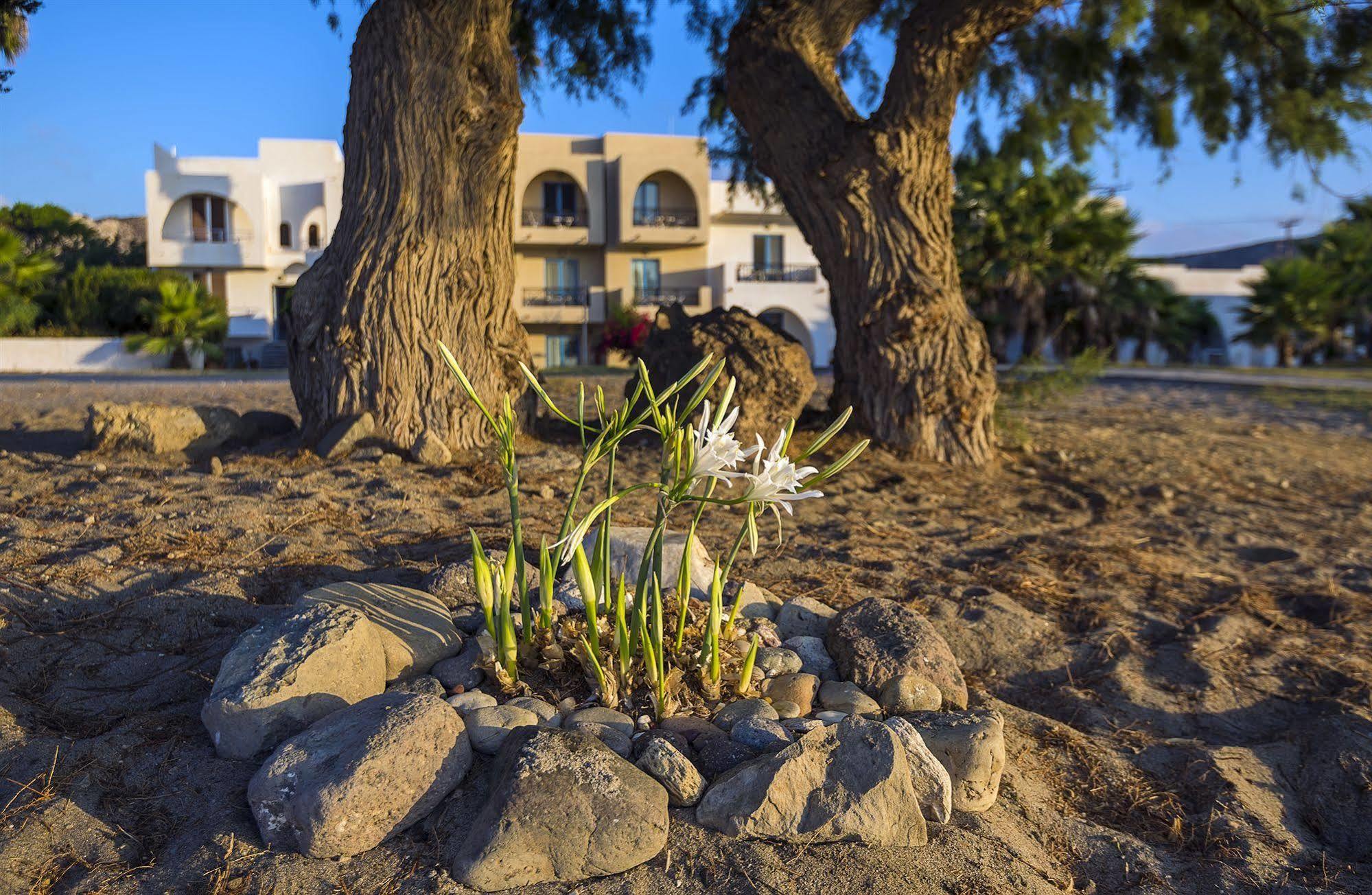 Olympia Mare Aparthotel Kardamena  Εξωτερικό φωτογραφία